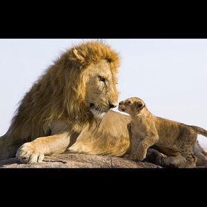 Meet your Posher, Natalie